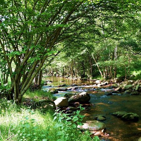 Gite **** "Le Refuge Des Fees" Saint-Julien-du-Gua Εξωτερικό φωτογραφία